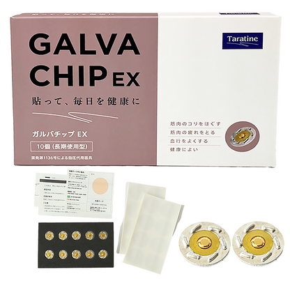 GALVACHIP EX