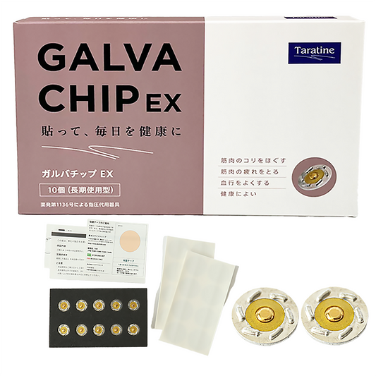GALVACHIP EX